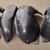 Підкрилки для chery (чері) elara/fora (a5) 2006-2010